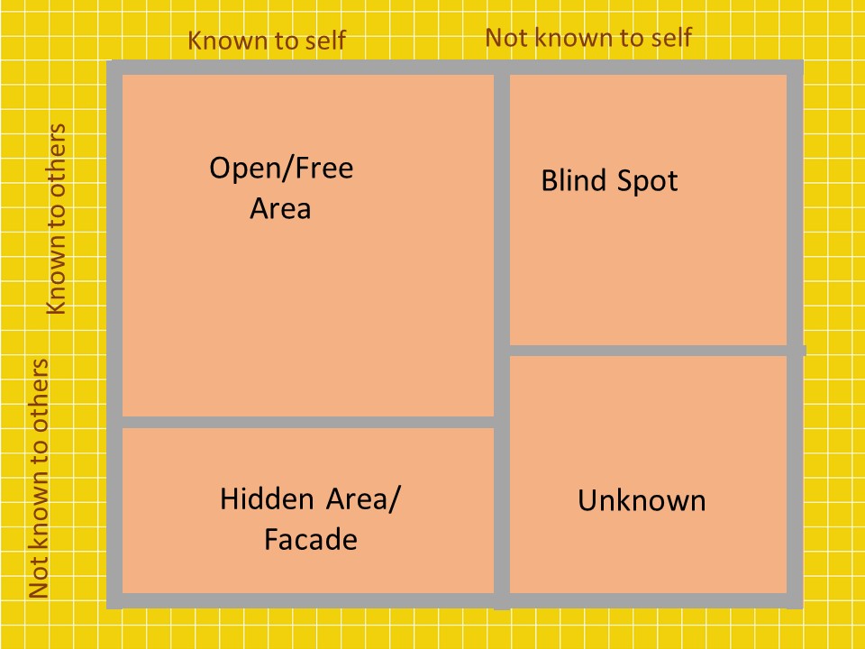 Johari window model for old and established employees