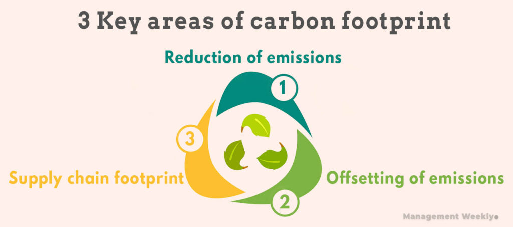 how to reduce the carbon footprint