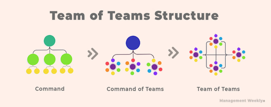 Organizational chart for team of teams structure