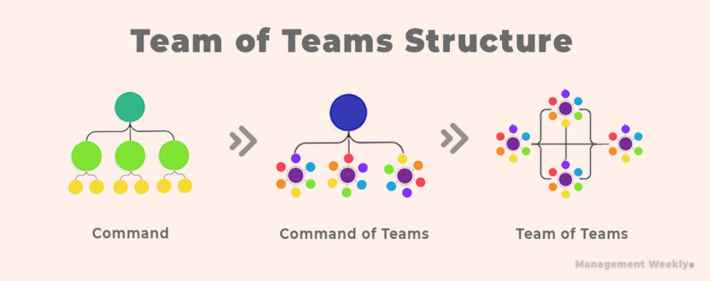 centralized organizational structure example